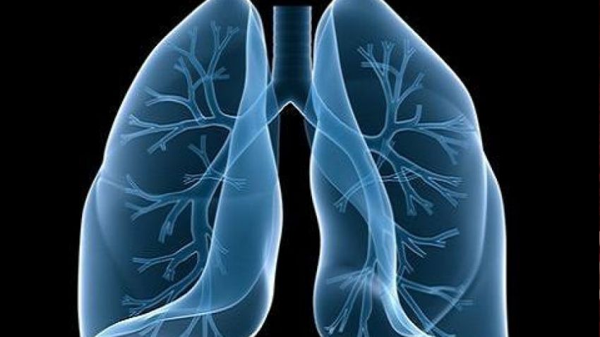  Έρευνα εντοπίζει άγνωστο μοριακό μονοπάτι για την αναχαίτιση του καρκίνου του πνεύμονα